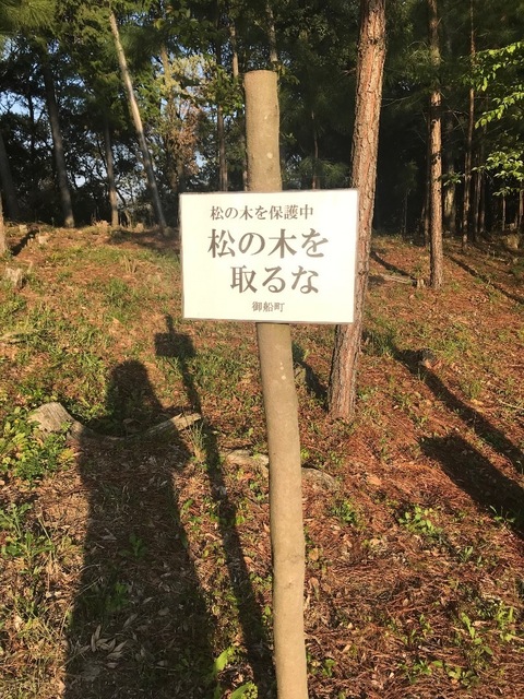 9F03E8EE-663C-48B4-96BC-659BA9E23090.jpeg