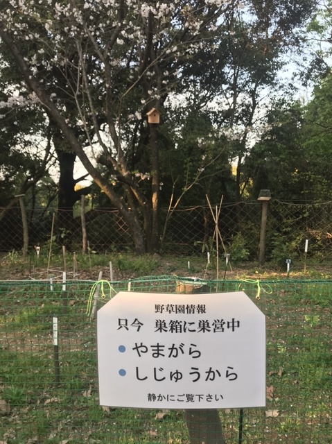 86A0539C-0091-4D62-A3DF-59F7C041AEB0.jpeg